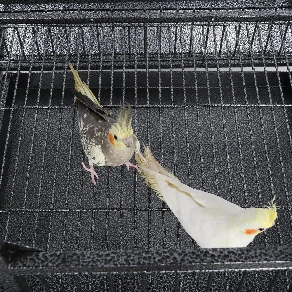 Extra Large Bird Cage 63 Inch Open Play Top Bird Cage with 360° Wheels