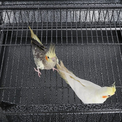 Extra Large Bird Cage 63 Inch Open Play Top Bird Cage with 360° Wheels