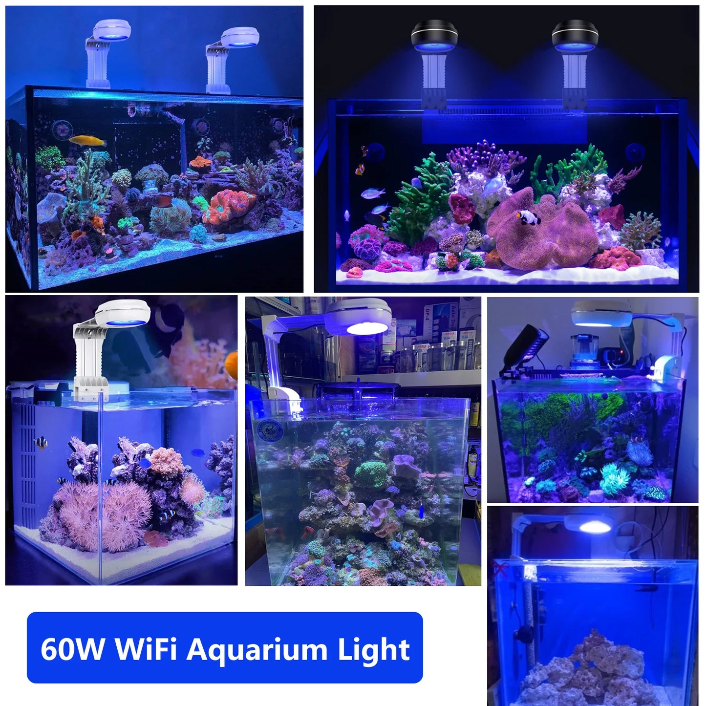 PopBloom RL60 WiFi Full Spectrum LED Saltwater Reef Aquarium Light Supports Mobile WiFi Control
